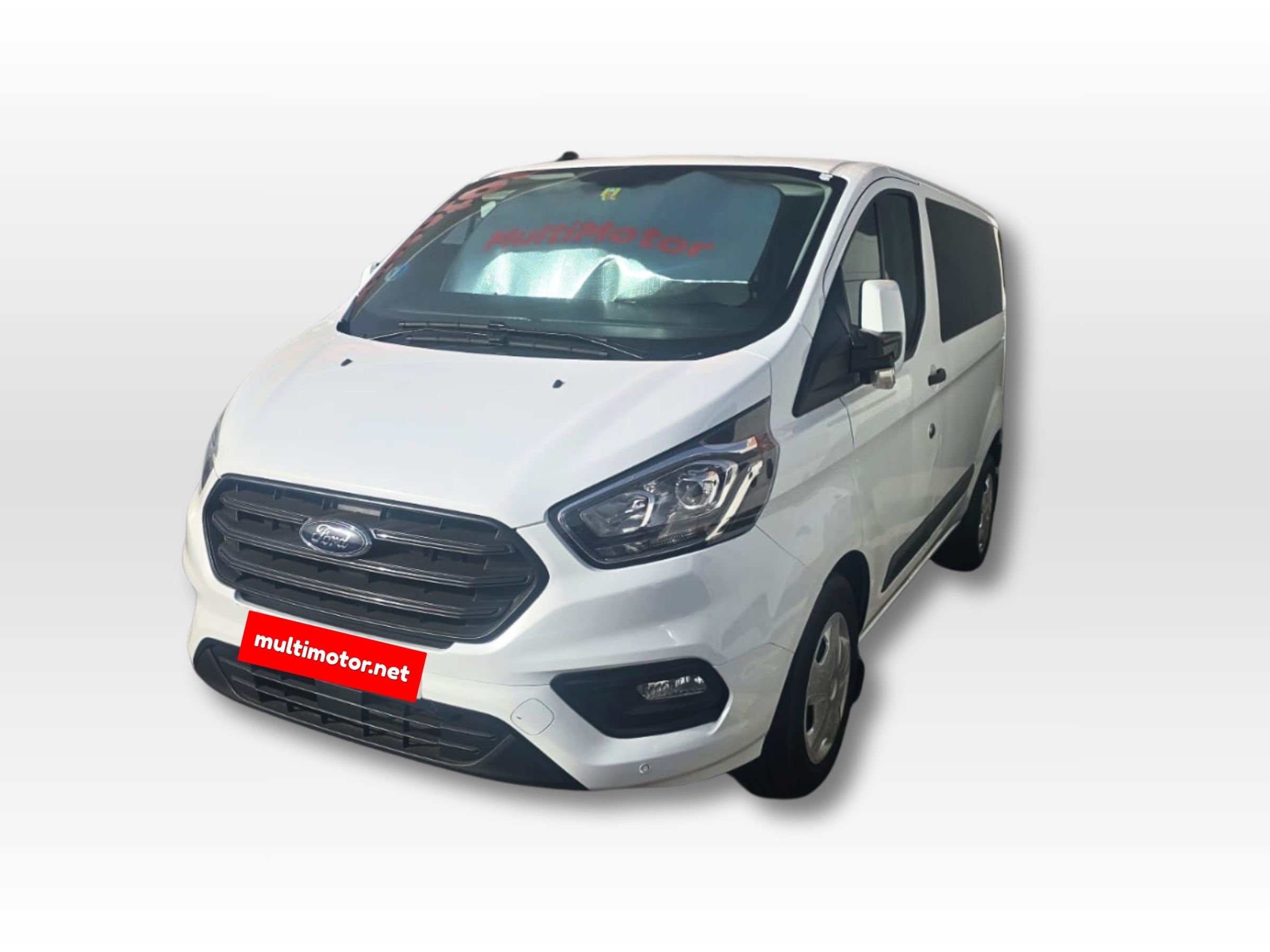 Ford transit ECOBLUE HYBRID